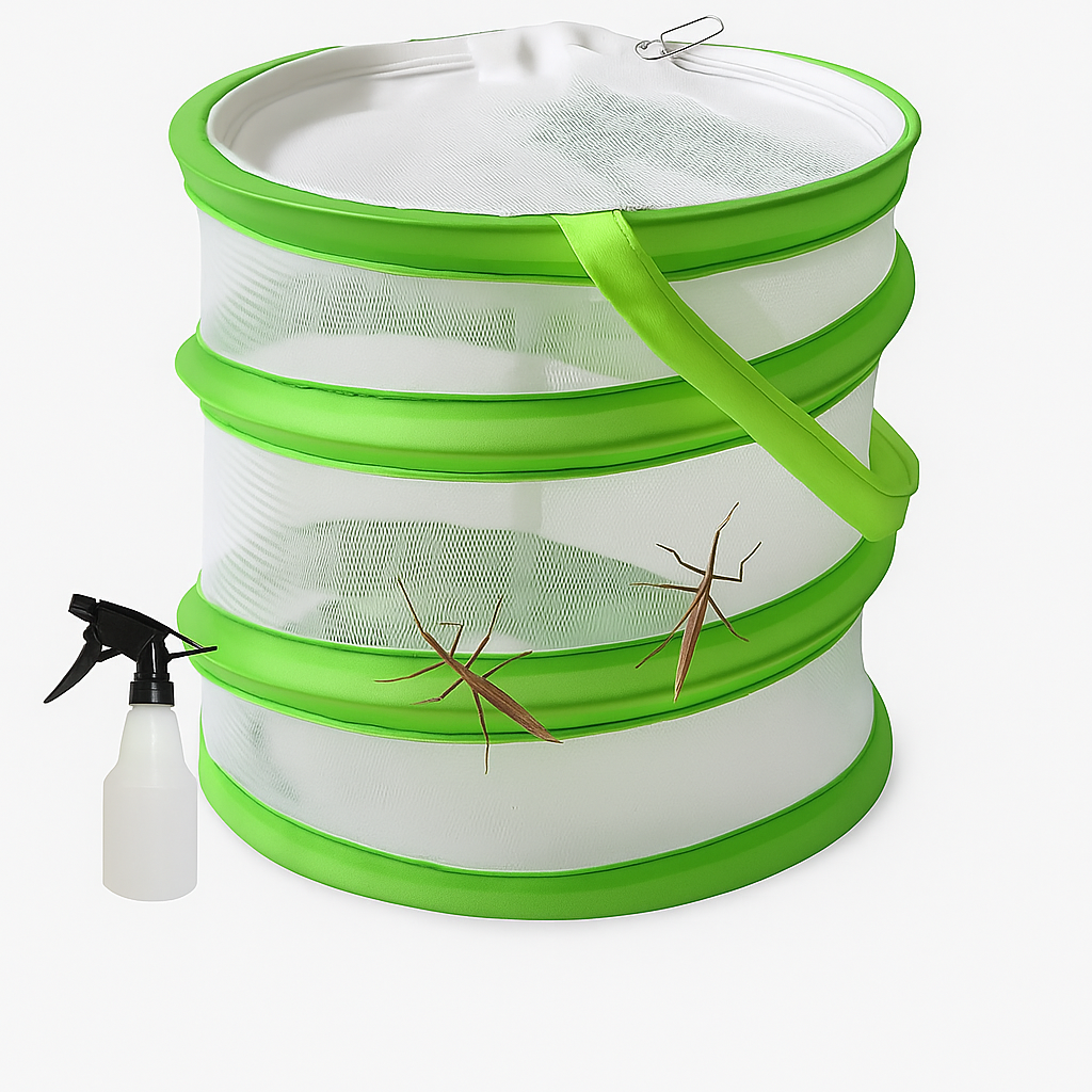 Stick Insect Starter Kit – Complete Beginner Enclosure with Live Stick Insects