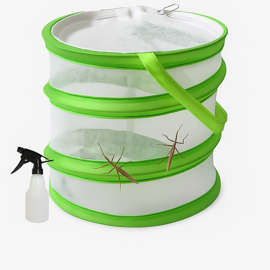 Stick Insect Starter Kit – Complete Beginner Enclosure with Live Stick Insects
