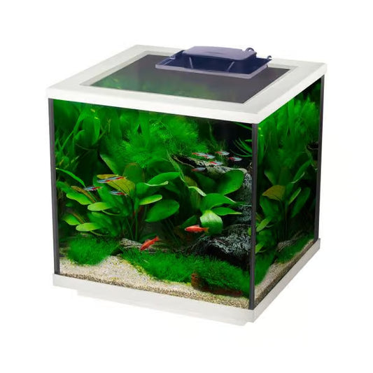 Interpet Aqua Cube LED 28 Litres