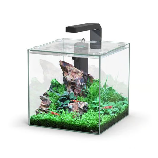 Kubus 10L Aquarium