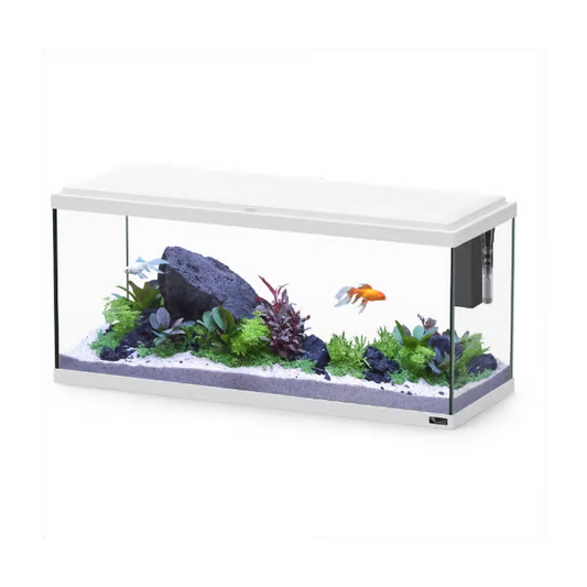 Explorer Amsterdam 85L Aquarium White