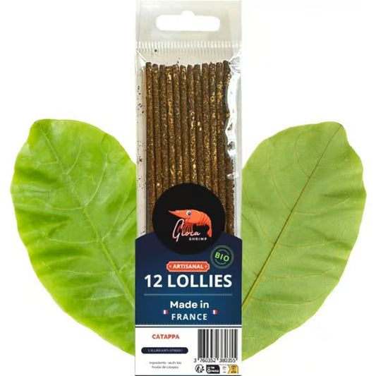Gioia Shrimp Lollies - Organic Catappa