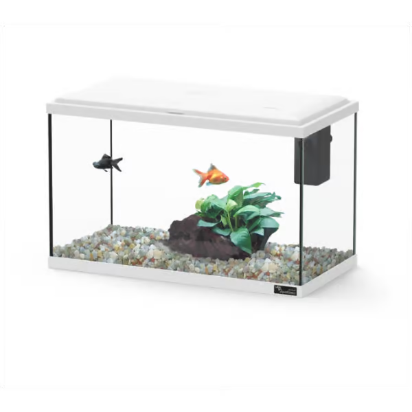 Explorer Lisbon 22L Aquarium White