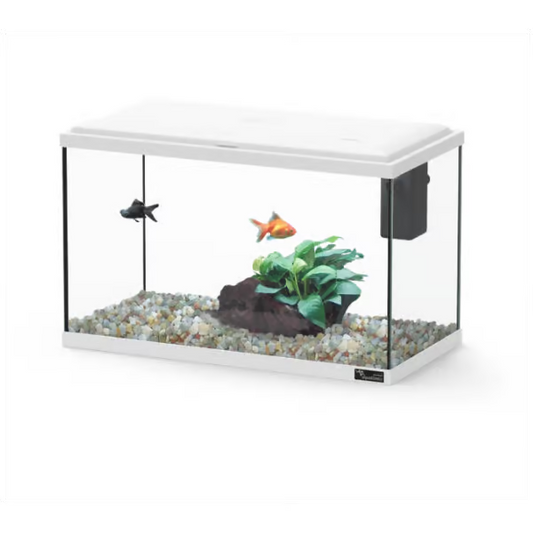Explorer Lisbon 22L Aquarium White