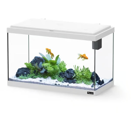 Explorer Vienna 42L Aquarium White